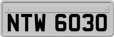 NTW6030