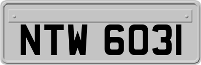 NTW6031