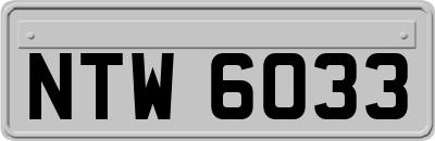 NTW6033