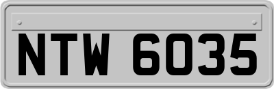 NTW6035