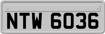 NTW6036