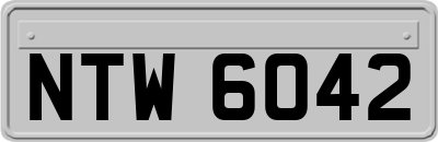 NTW6042