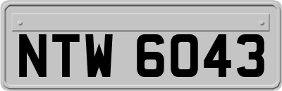 NTW6043