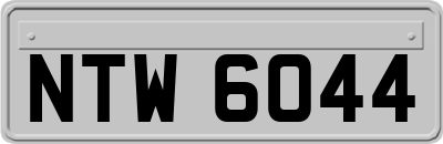 NTW6044