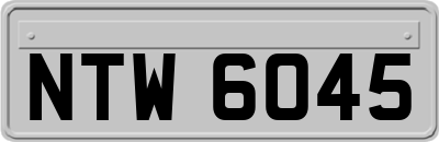NTW6045