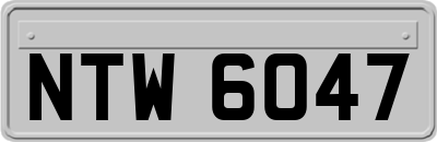 NTW6047