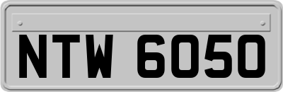 NTW6050