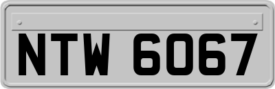NTW6067