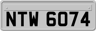 NTW6074
