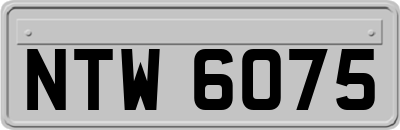 NTW6075