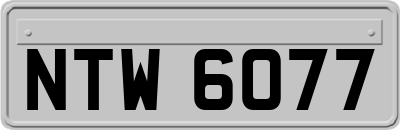 NTW6077