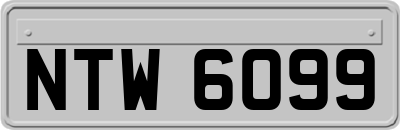NTW6099