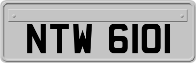 NTW6101