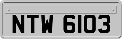 NTW6103