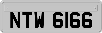 NTW6166