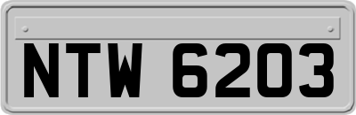 NTW6203