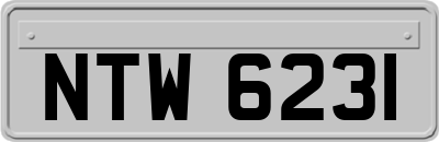 NTW6231