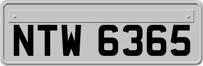 NTW6365