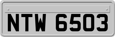 NTW6503