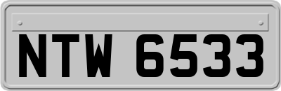 NTW6533
