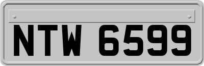 NTW6599