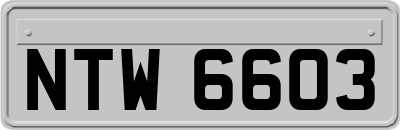 NTW6603