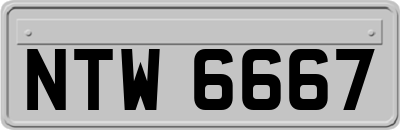 NTW6667