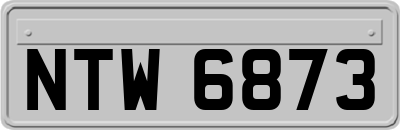 NTW6873