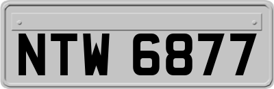 NTW6877