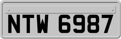 NTW6987