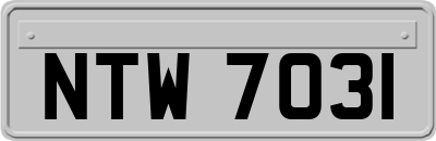 NTW7031