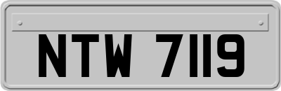 NTW7119