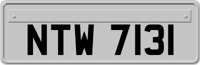 NTW7131