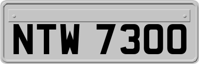 NTW7300