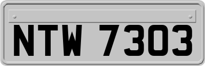 NTW7303