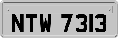 NTW7313