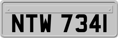 NTW7341