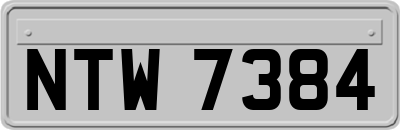 NTW7384
