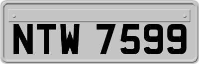 NTW7599