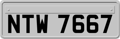 NTW7667