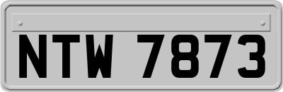 NTW7873