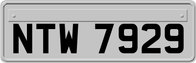 NTW7929