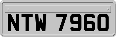 NTW7960