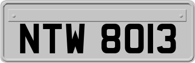NTW8013