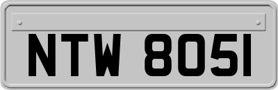 NTW8051