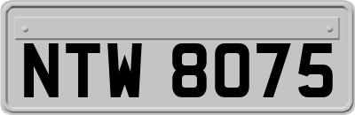 NTW8075