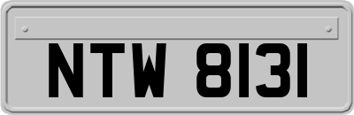 NTW8131