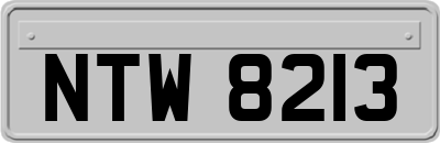NTW8213