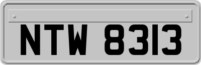 NTW8313