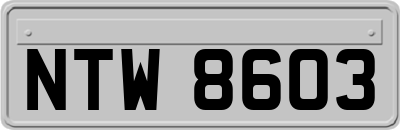 NTW8603